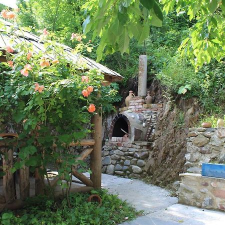 Nikala'S House Borjomi Exterior foto